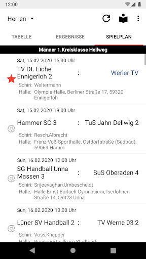 Werler TV Handball Screen 2