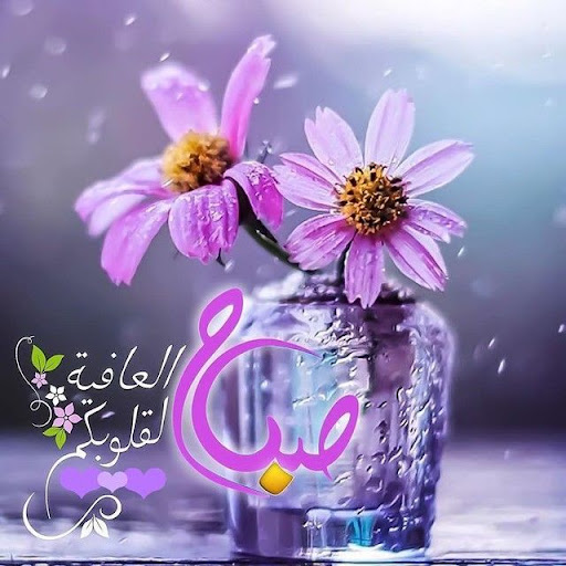 مسجات صباح الخير بدون انترنت