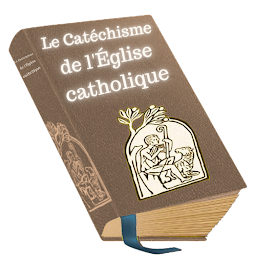 Icon image Catéchisme des catholiques