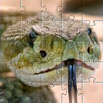 Cover Image of Download Snake games jigsaw puzzles  APK