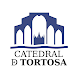 Visita CATEDRAL de TORTOSA