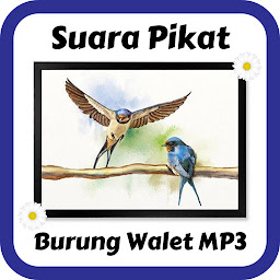Icon image Suara Pikat Burung Walet Mp3