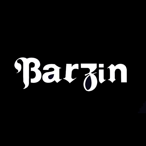 Barzin logo
