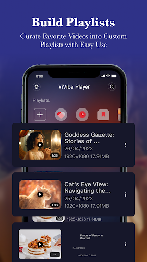 ViVibe Player - manage videos Screen 2
