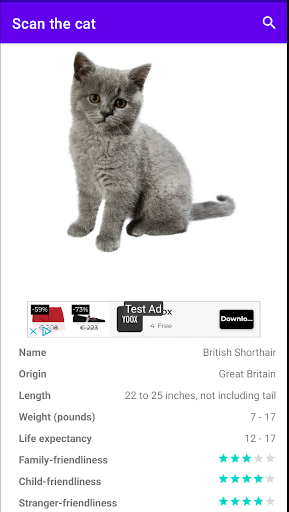 Scan the cat Screen 3