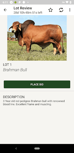 CC Sales Screen 3