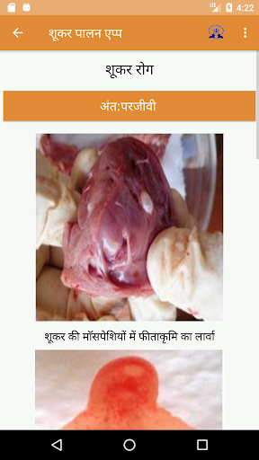 IVRI-Pig Farming App(शूकर पालन Screen 3