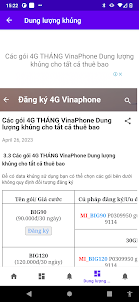 Đăng ký 4G Vinaphone nhanh