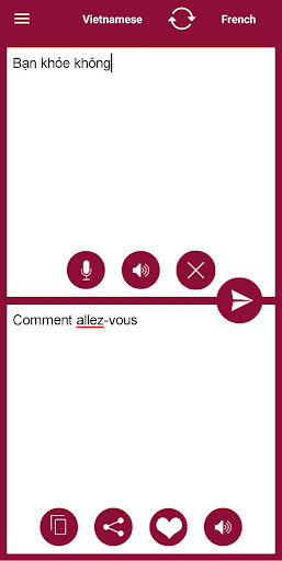 French - Vietnamese Translator Screen 3