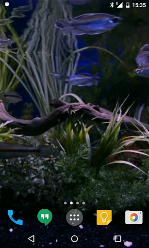 Aquarium Live Wallpaper Screen 2