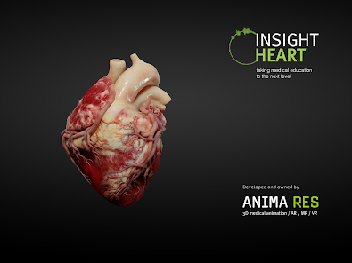Heart Insight The Heart