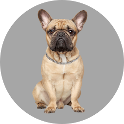 Icon image Dog Images - Dog Wallpapers