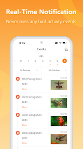 Bilantan APK