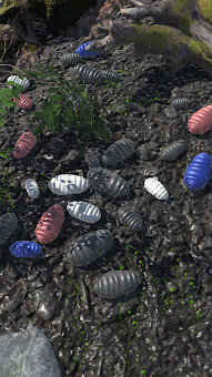 Roly-Poly Friends screenshot 3