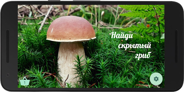Предварительный просмотр приложения