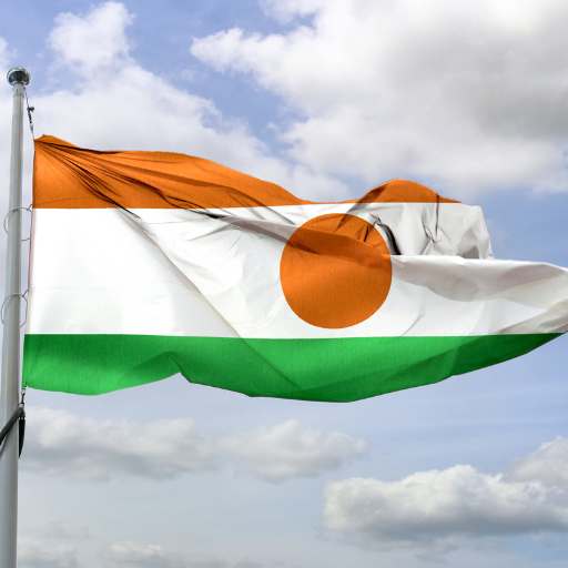 Niger flag logo