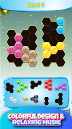 Hexa Puzzle Block - Brain Game
