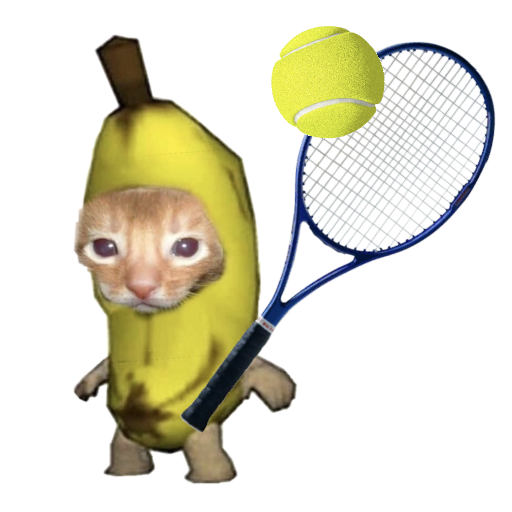 Cat Tennis Battle