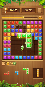 Block – Block Puzzle Classic 1