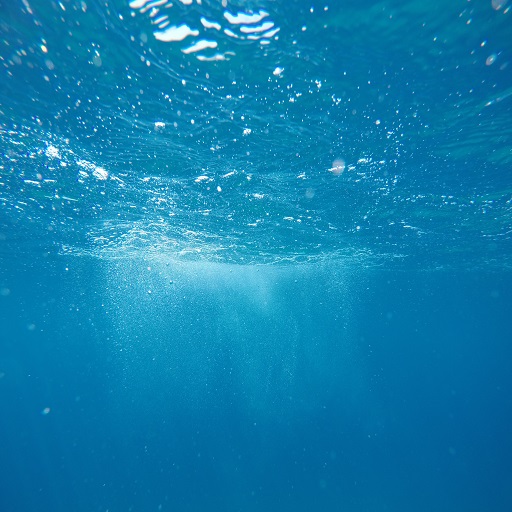 Underwater Sound logo