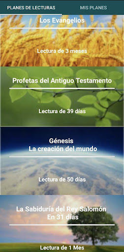 Vista previa de la aplicación