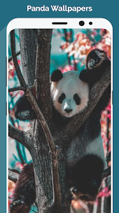 Fondos de pantalla de pandas