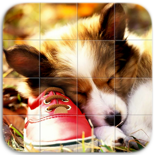 Cute Dogs Puzzle 1.14 Icon