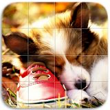 Cute Dogs Puzzle icon