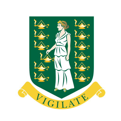BVIGovReportIt logo