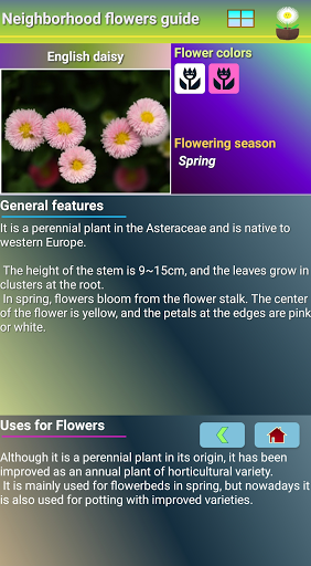 Neighborhood flowers guide Screen 3