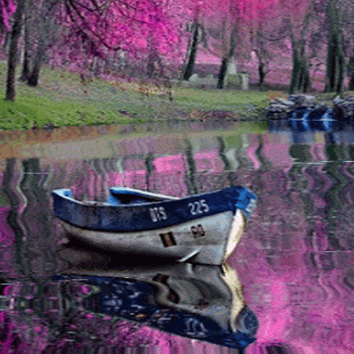 Beautiful 2024 live wallpaper