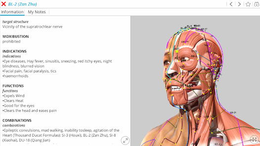 Visual Acupuncture 3D - Apps On Google Play