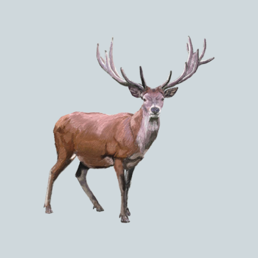 Decoy for hoofed animals logo