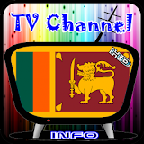 Info TV Channel Sri Lanka HD icon