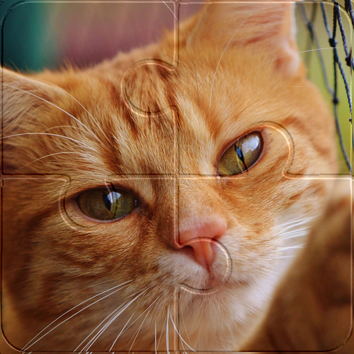 Super Jigsaw Puzzle Kittens 0.1.2 Icon