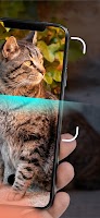 screenshot of Cat Identifier - Cat Scanner
