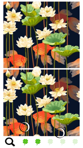 Spot a Difference Good Luck Screen 2