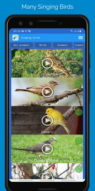 Singing Birds - 1.9 - (Android)