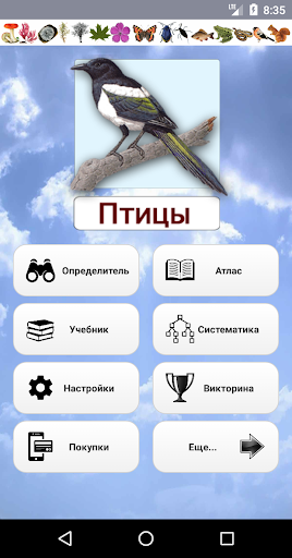 Android application EcoGuide: Russian Birds screenshort
