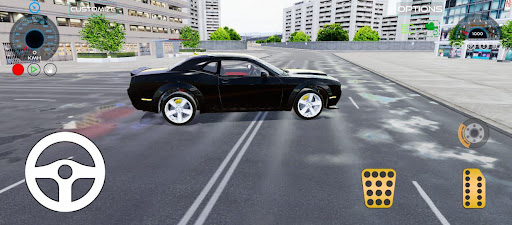 Car Simulator Pro Screen 2