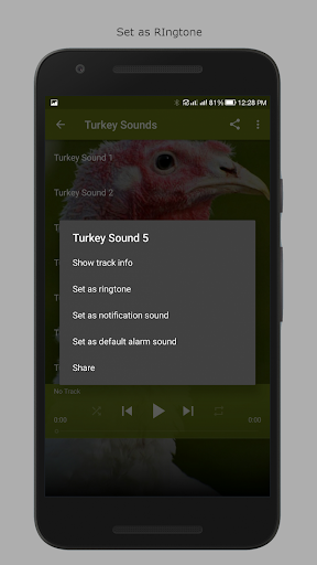 Turkey Sounds Screen 3