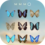 Butterfly Lock Screen icon