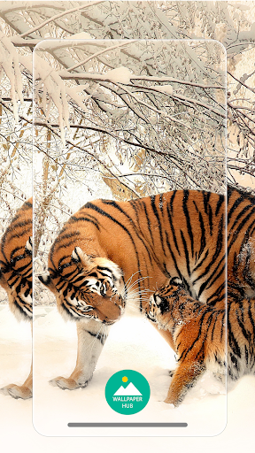 Android application Animal Wallpapers HD Backgroun screenshort