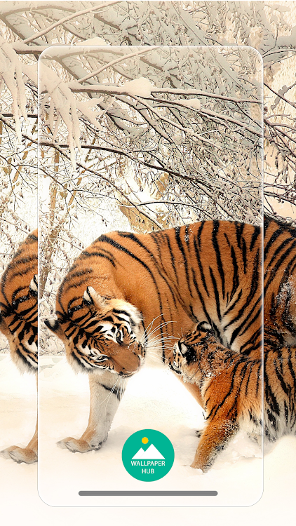 Animal Wallpapers HD Backgroun - 2.0 - (Android)