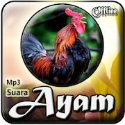 Suara Ayam Mp3 Offline