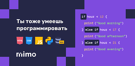 Мимо: обучение основам JavaScript, Python, HTML