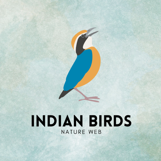 Indian Birds logo