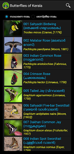 Butterflies of Kerala Screen 2