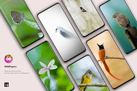 WildPapers - Wildlife Photos Screenshot