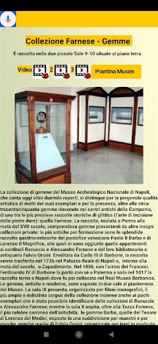 Museo Archeologico Napoliのおすすめ画像4